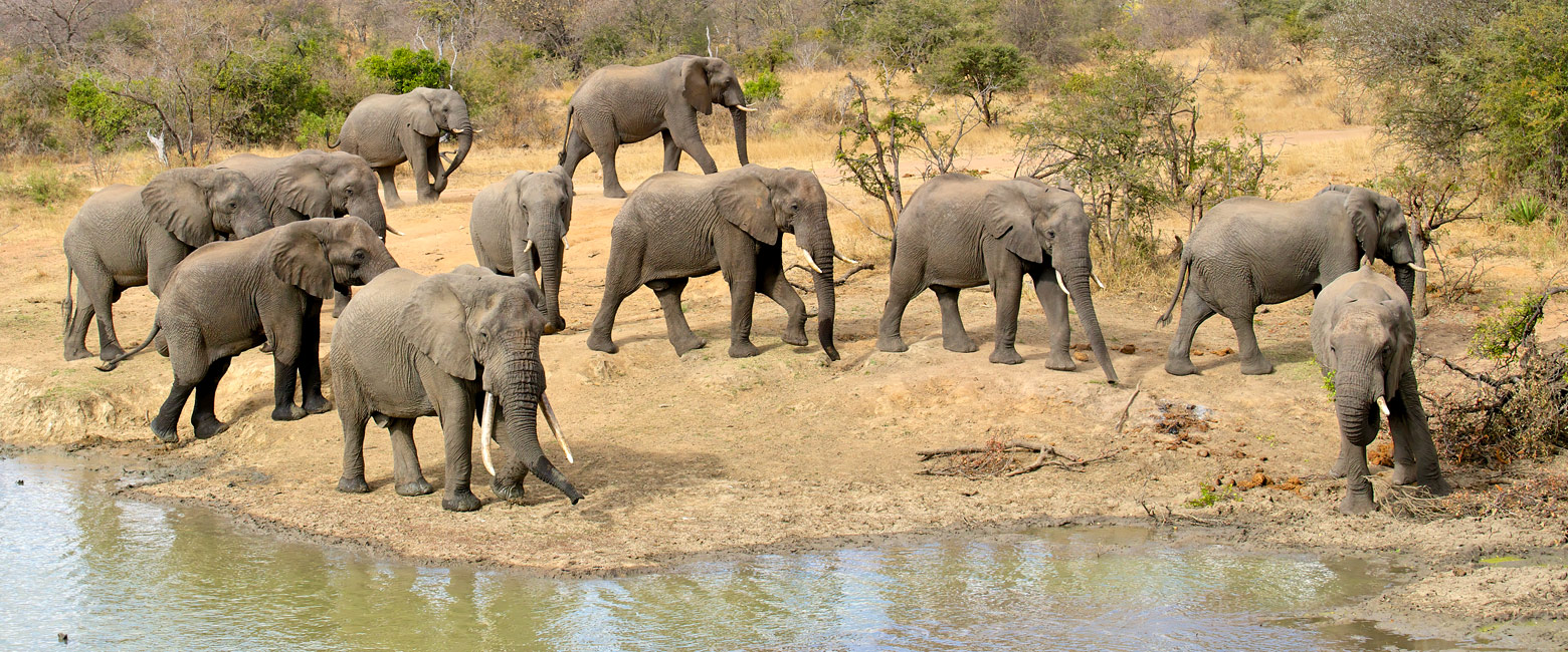 is a modest safari reserve west of Kruger