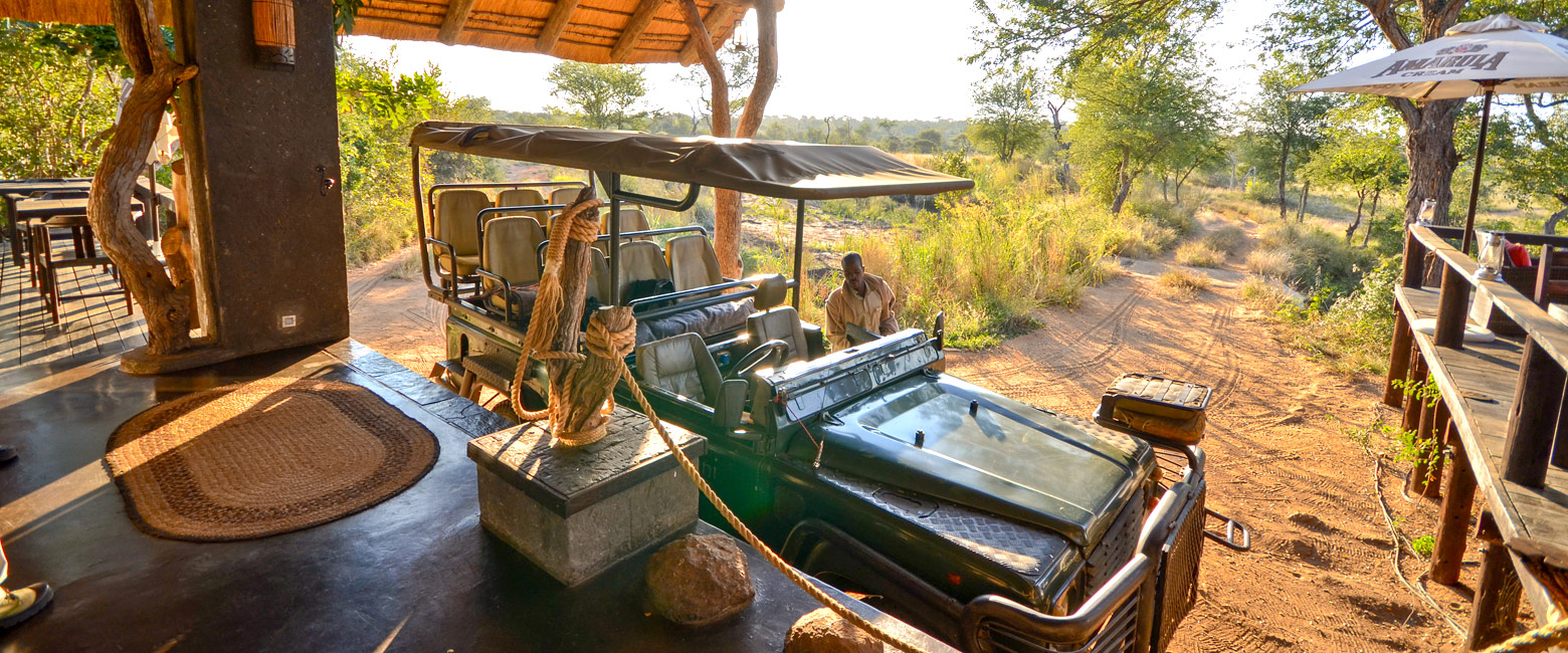 let us know your thoughts about South Africa and we will make sure to deliver the perfect safari