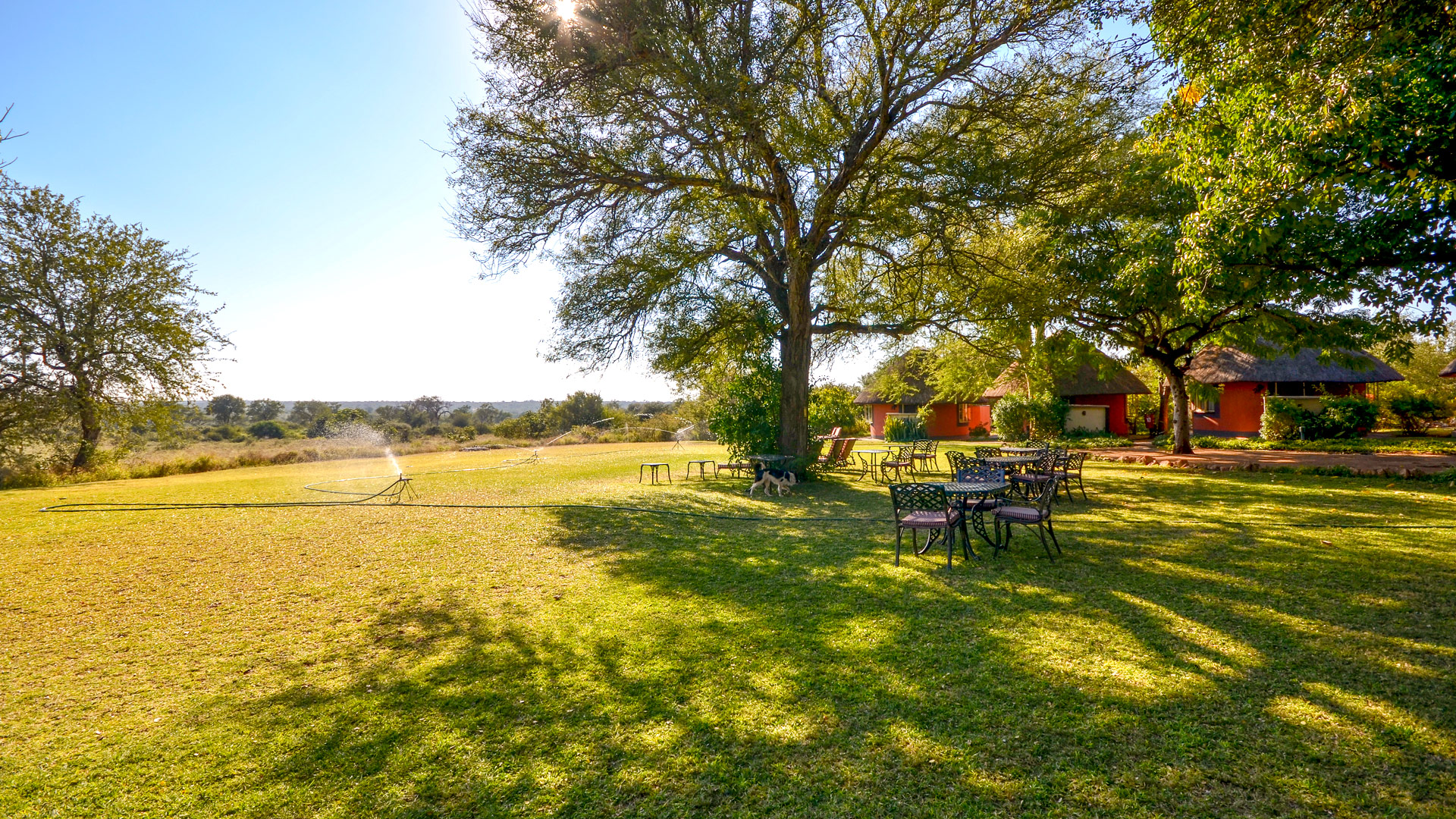 Mohlabetsi Safari Lodge