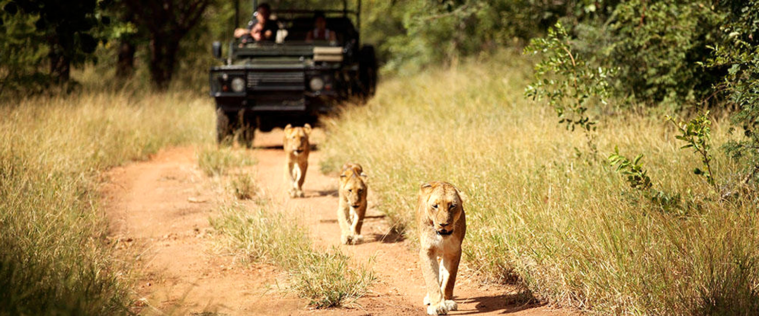 is a small fenced reserve to the west of Kruger