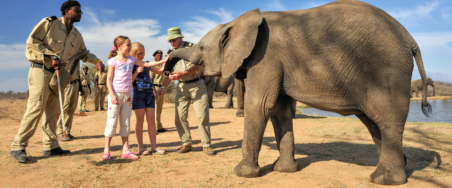 let us know your thoughts about South Africa and we will help you create the perfect safari