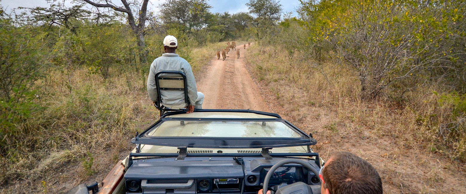 let us know your thoughts about South Africa and we will make sure to deliver the perfect safari