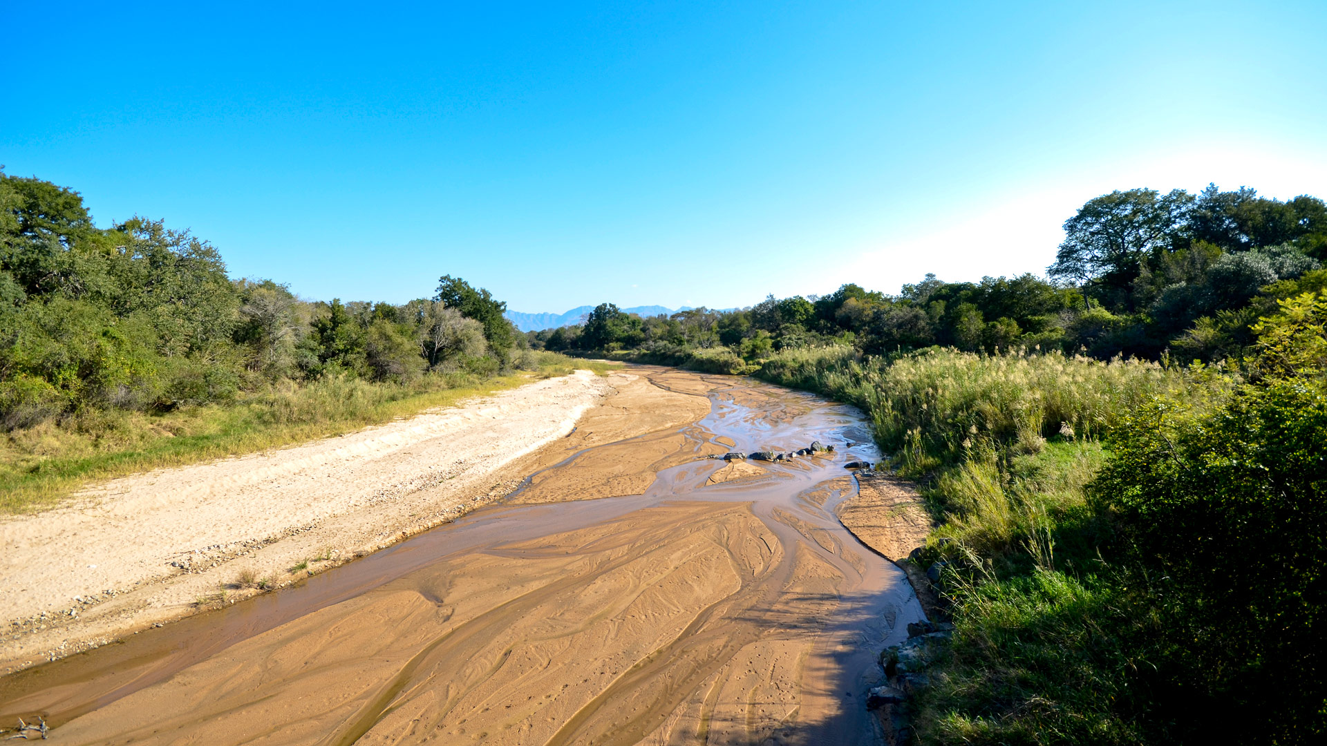 Safari to Karongwe