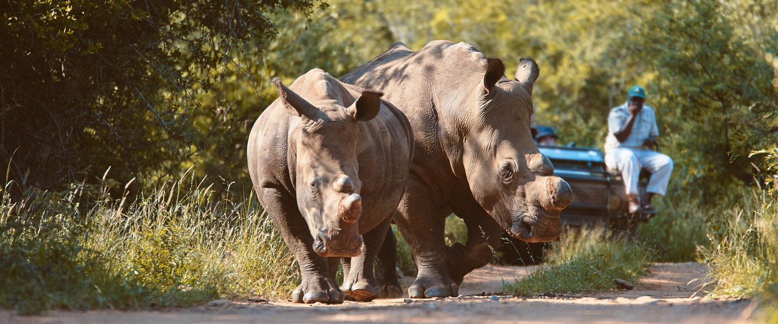 is a small fenced reserve to the west of Kruger