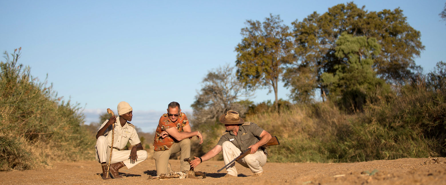 let us know your thoughts about South Africa and we will help you create the perfect trip