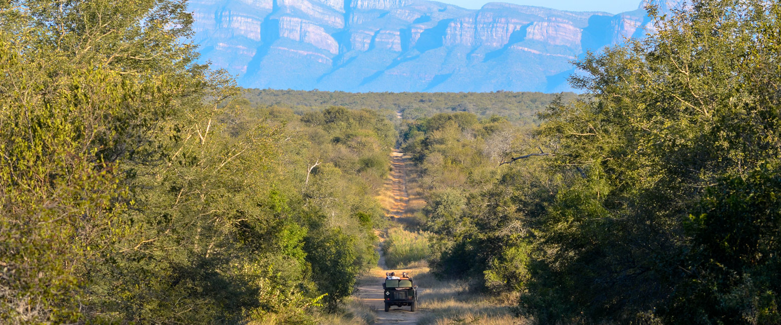 let us know your thoughts about South Africa and we will make sure to deliver the perfect safari