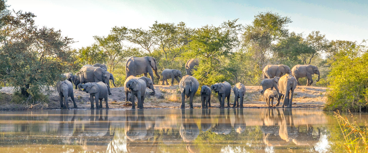 is an up-and-coming reserve to the west of Kruger 