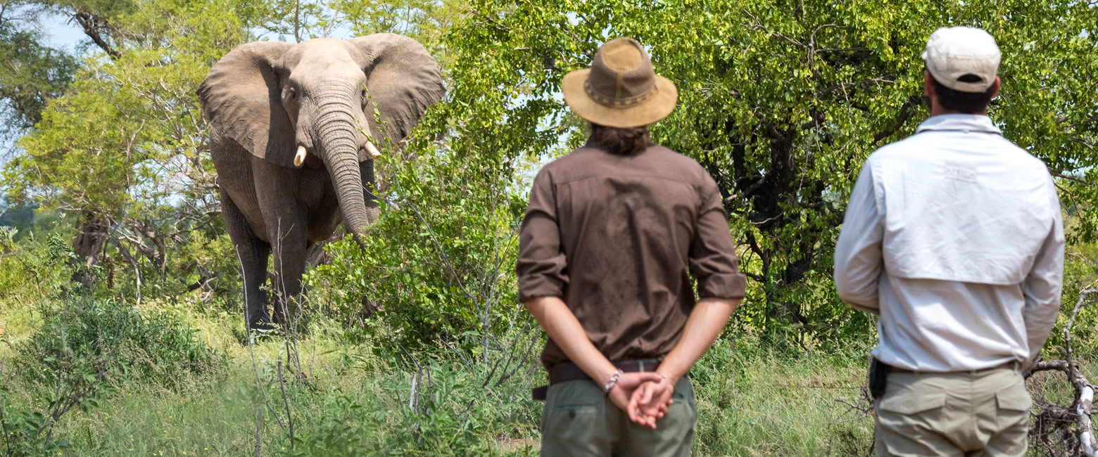 let us know your thoughts about South Africa and we will help you create the perfect safari