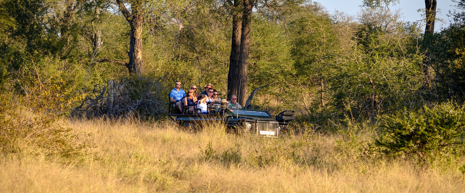 let us know your thoughts about South Africa and we will help you create the perfect safari