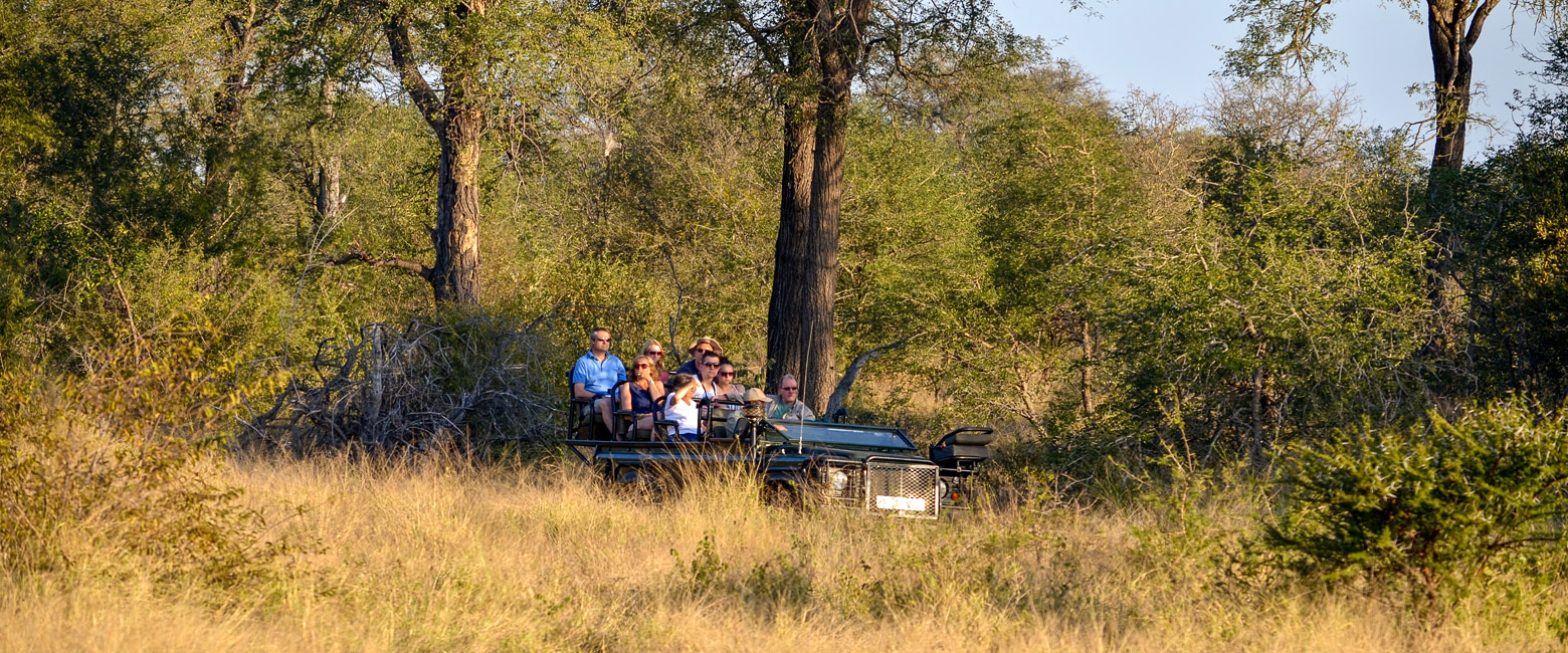 let us know your thoughts about South Africa and we will help you create the perfect safari 