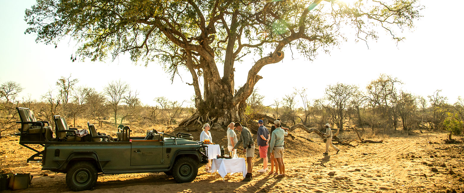 let us know your thoughts about South Africa and we will help you create the perfect safari