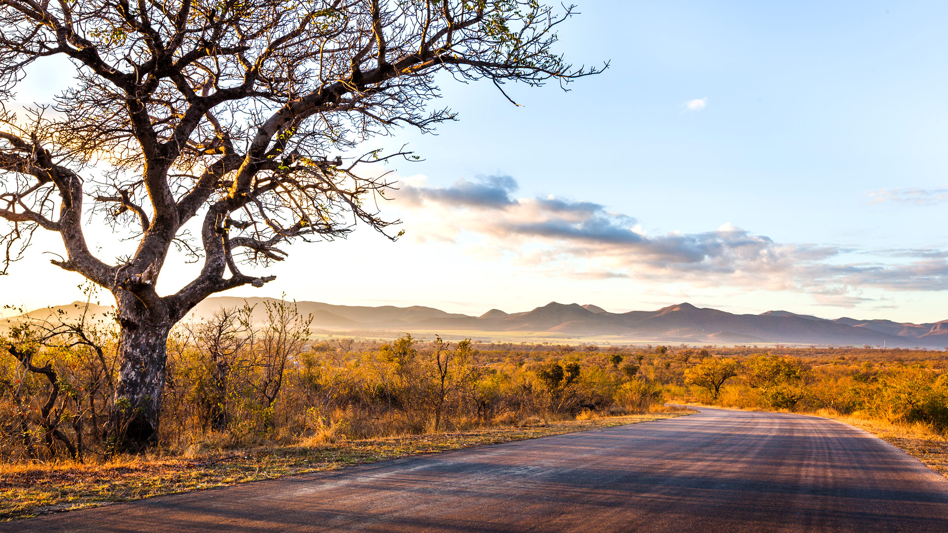 Safari to Kruger Park Central