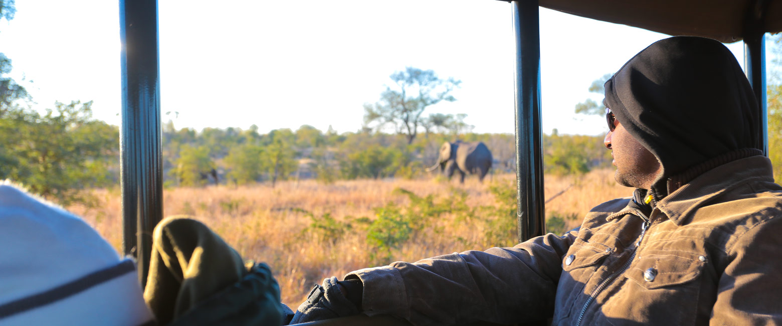 let us know your thoughts about South Africa and we will help you create the perfect safari