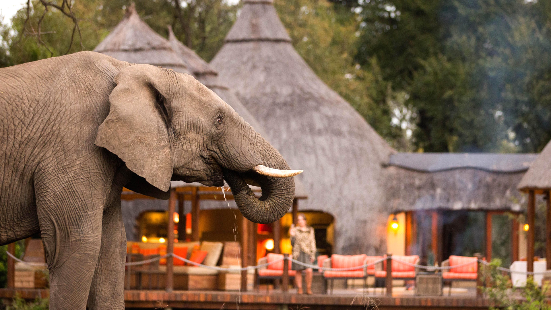 Hoyo Hoyo Lodge