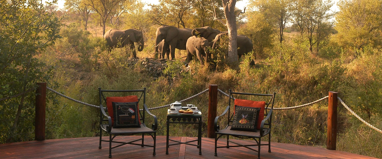 let us know your thoughts about South Africa and we will help you create the perfect safari