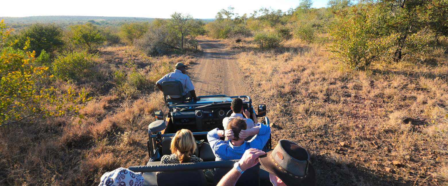 let us know your thoughts about South Africa and we will help you create the perfect safari