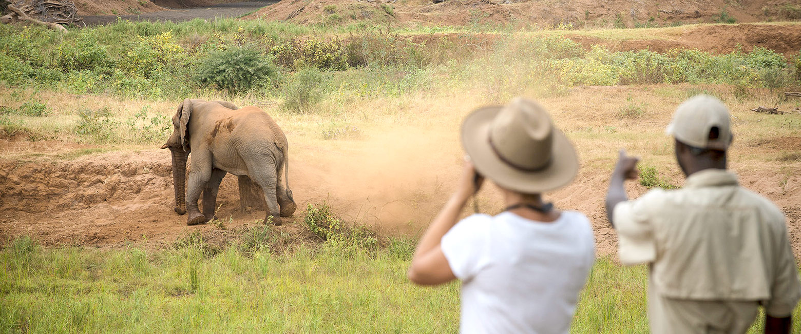 let us know your thoughts about South Africa and we will help you create the perfect safari