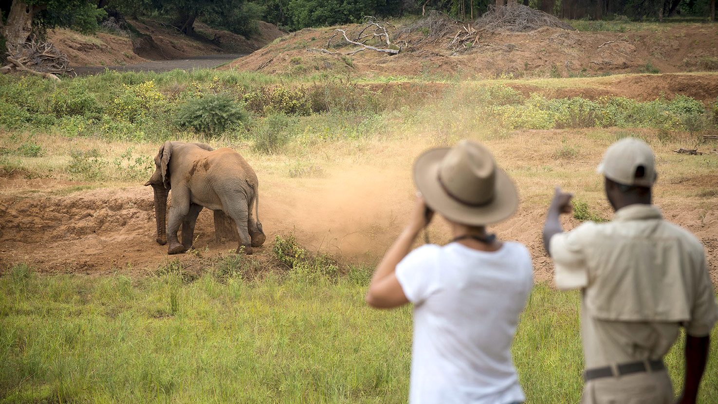 Pafuri Hutwini Walking Camp