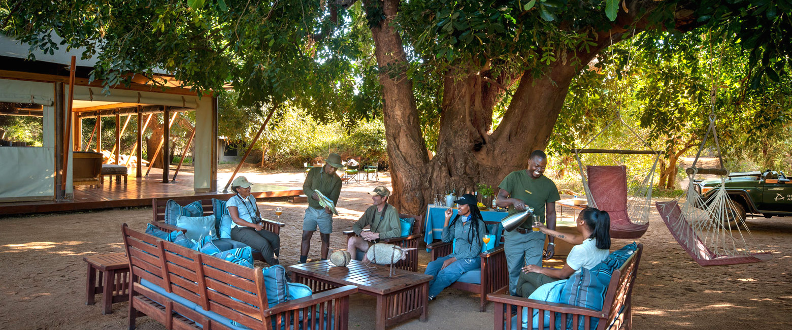 let us know your thoughts about South Africa and we will help you create the perfect safari 