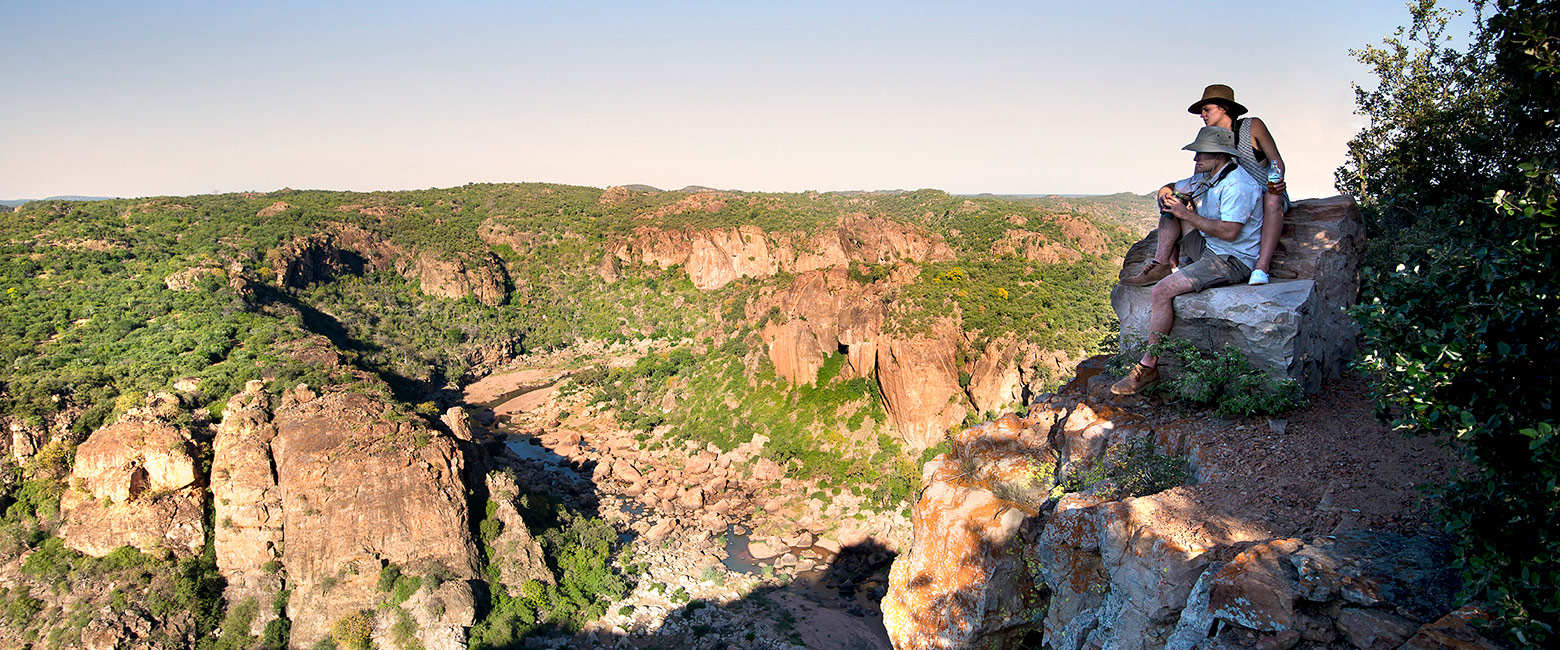 let us know your thoughts about South Africa and we will help you create the perfect safari 