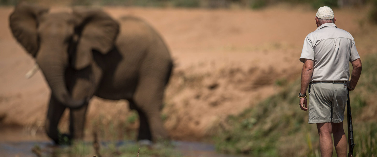let us know your thoughts about South Africa and we will help you create the perfect safari