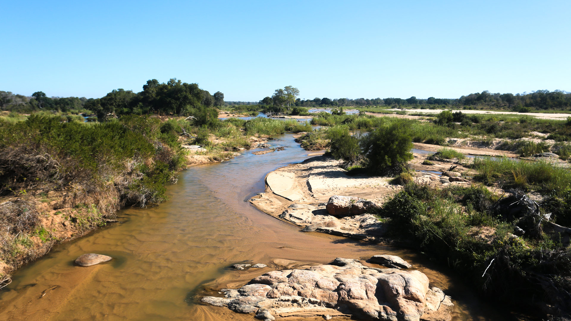 Safari to Kruger Park South