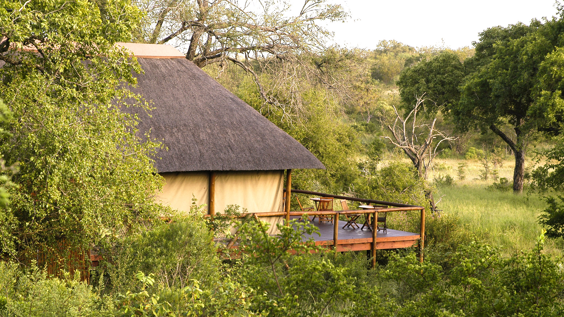 Camp Shonga
