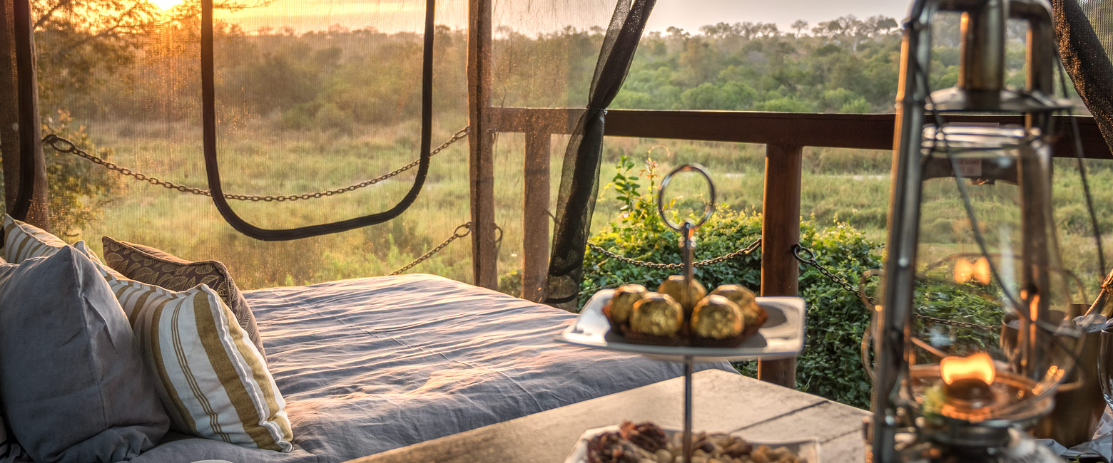 let us know your thoughts about South Africa and we will help you create the perfect safari