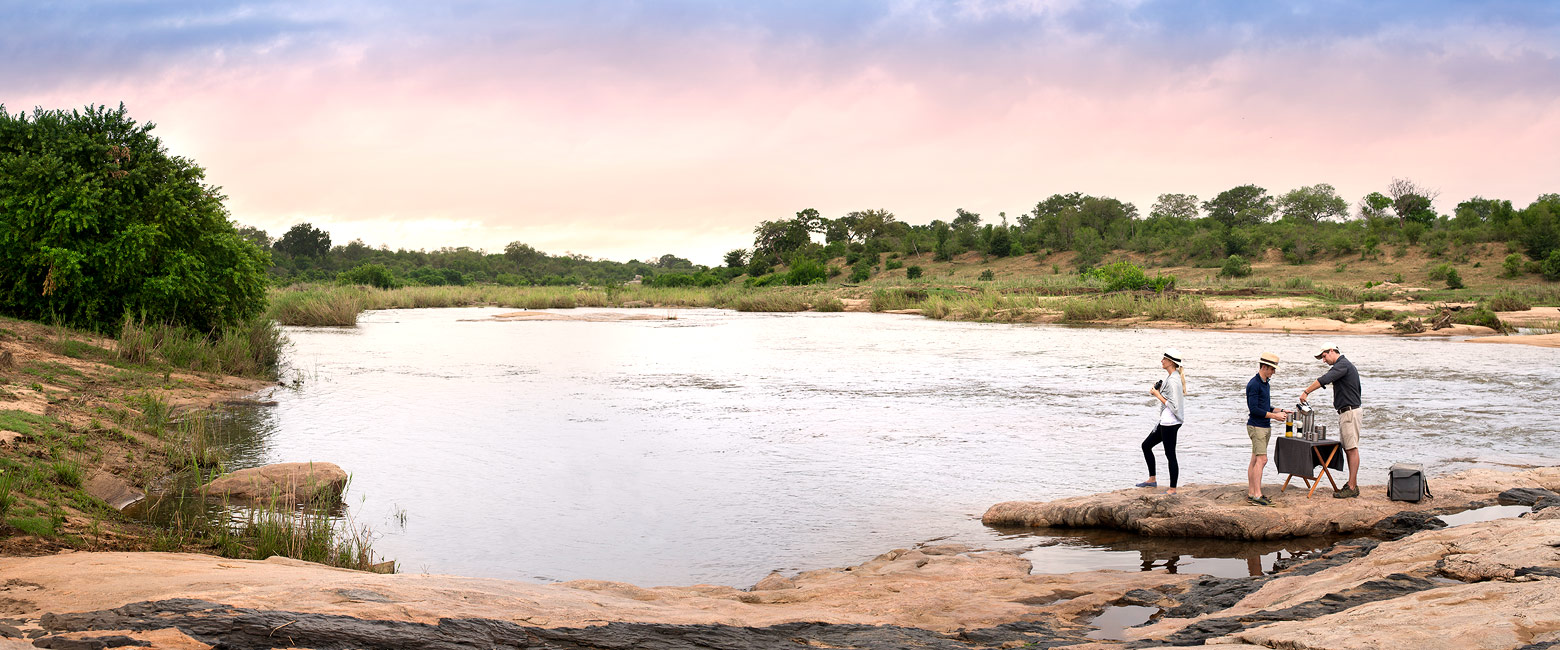 let us know your thoughts about South Africa and we will help you create the perfect safari