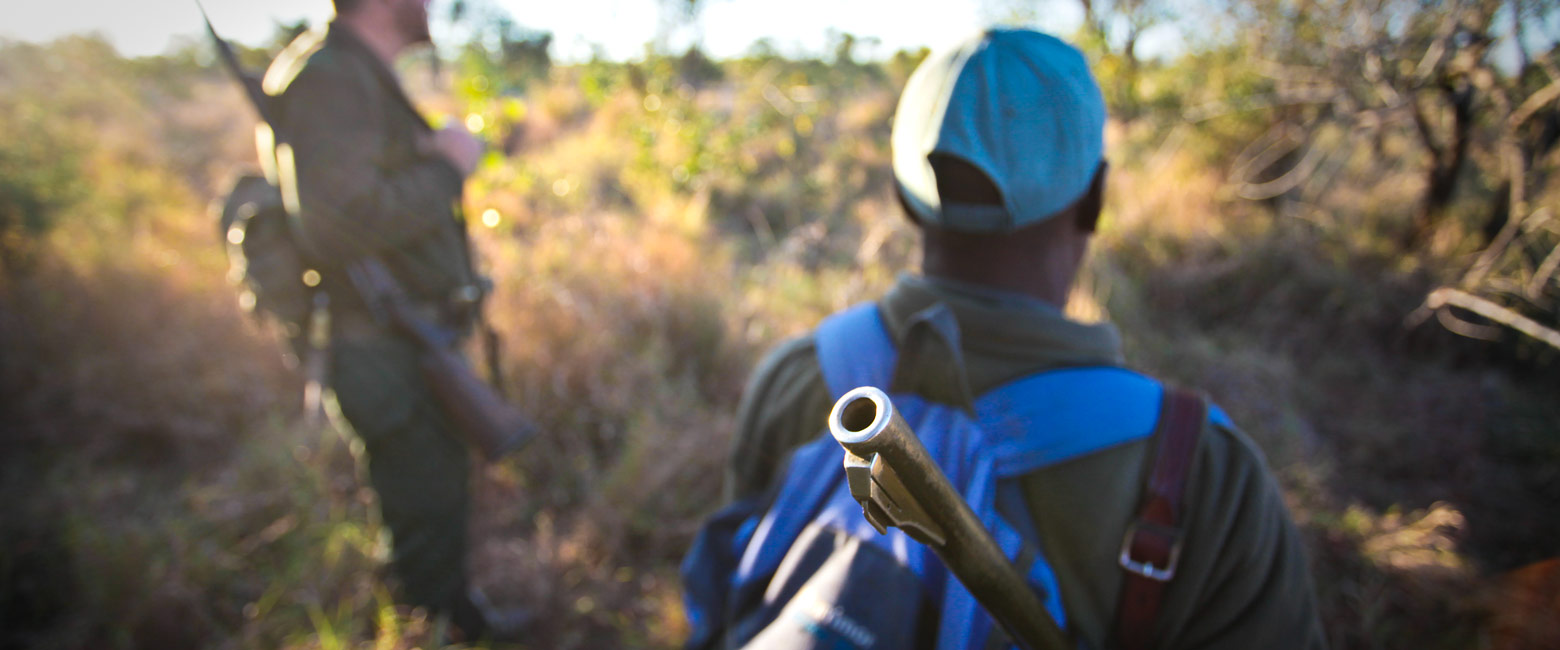 let us know your thoughts about South Africa and we will help you create the perfect safari