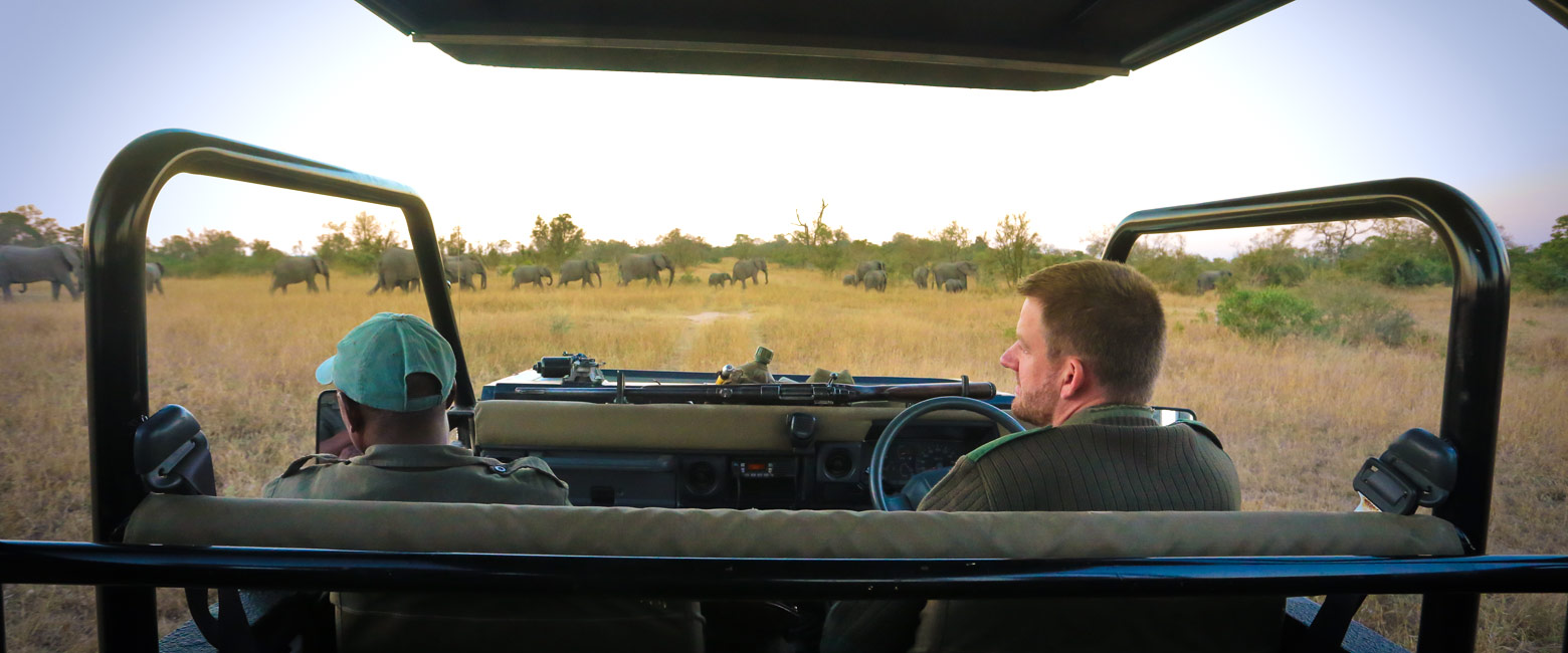 let us know your thoughts about South Africa and we will help you create the perfect safari