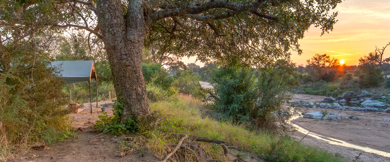 let us know your thoughts about South Africa and we will help you create the perfect safari 