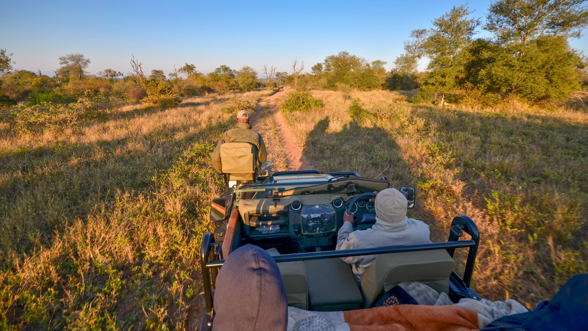 Safari in Makalali