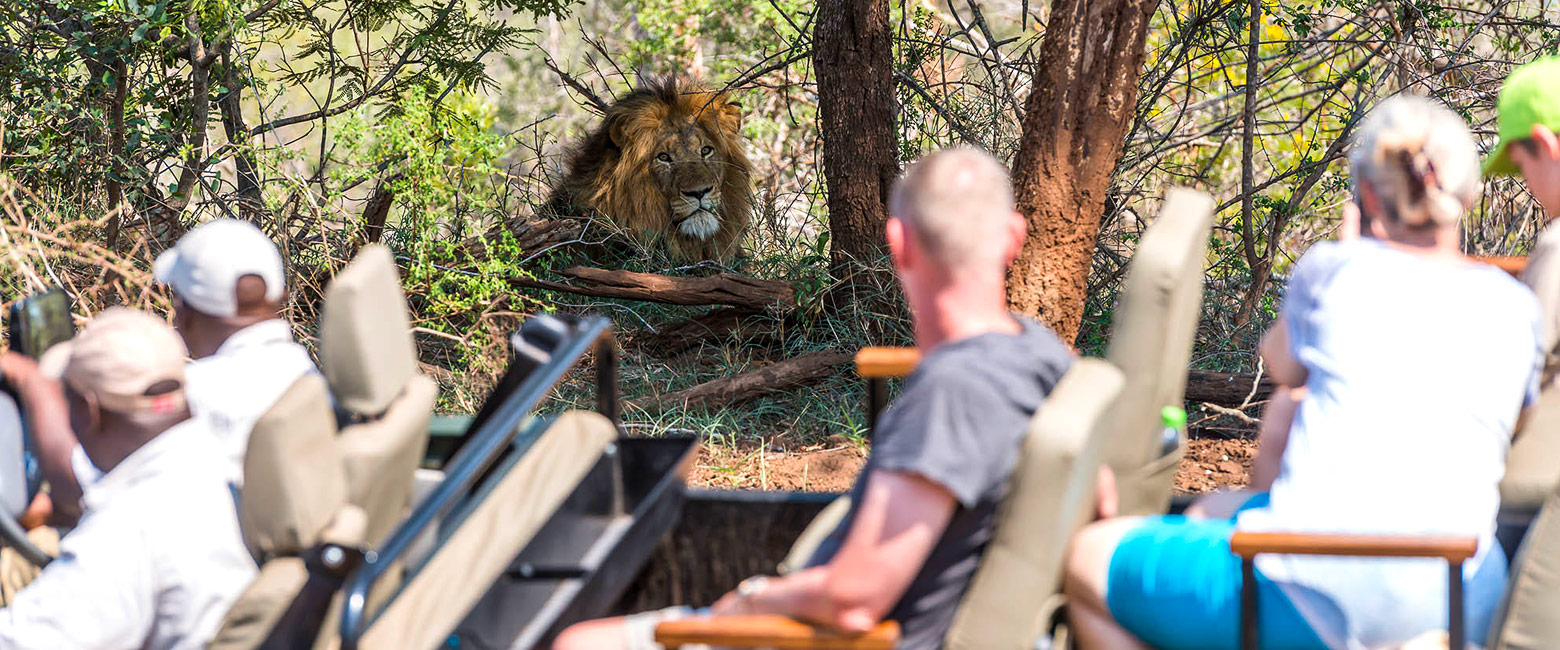 let us know your thoughts about South Africa and we will make sure to deliver the perfect safari