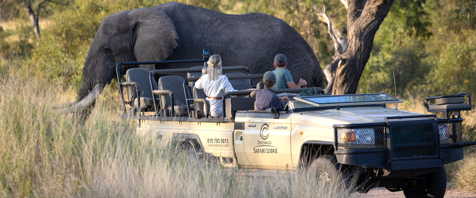 let us know your thoughts about South Africa and we will help you create the perfect safari