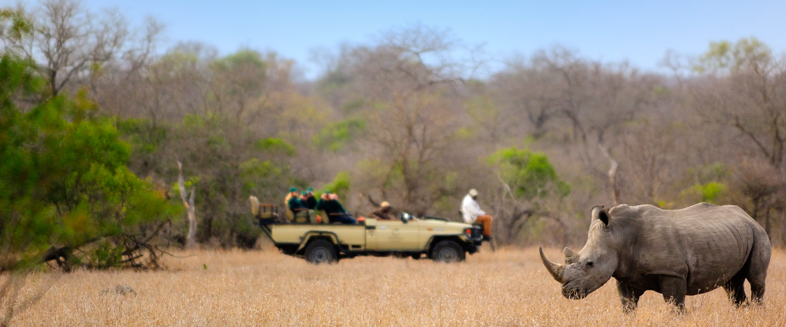 let us know your thoughts about South Africa and we will help you create the perfect safari