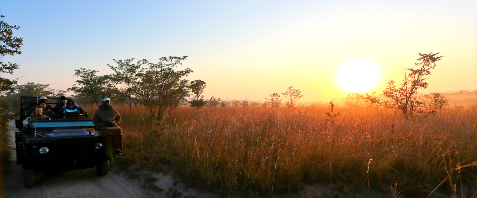 let us know your thoughts about South Africa and we will help you create the perfect safari