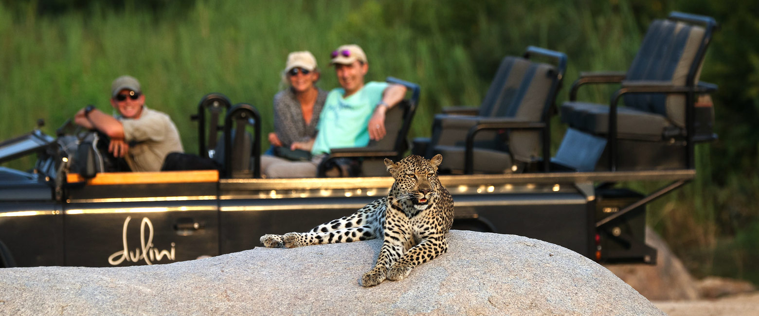 let us know your thoughts about South Africa and we will help you create the perfect safari