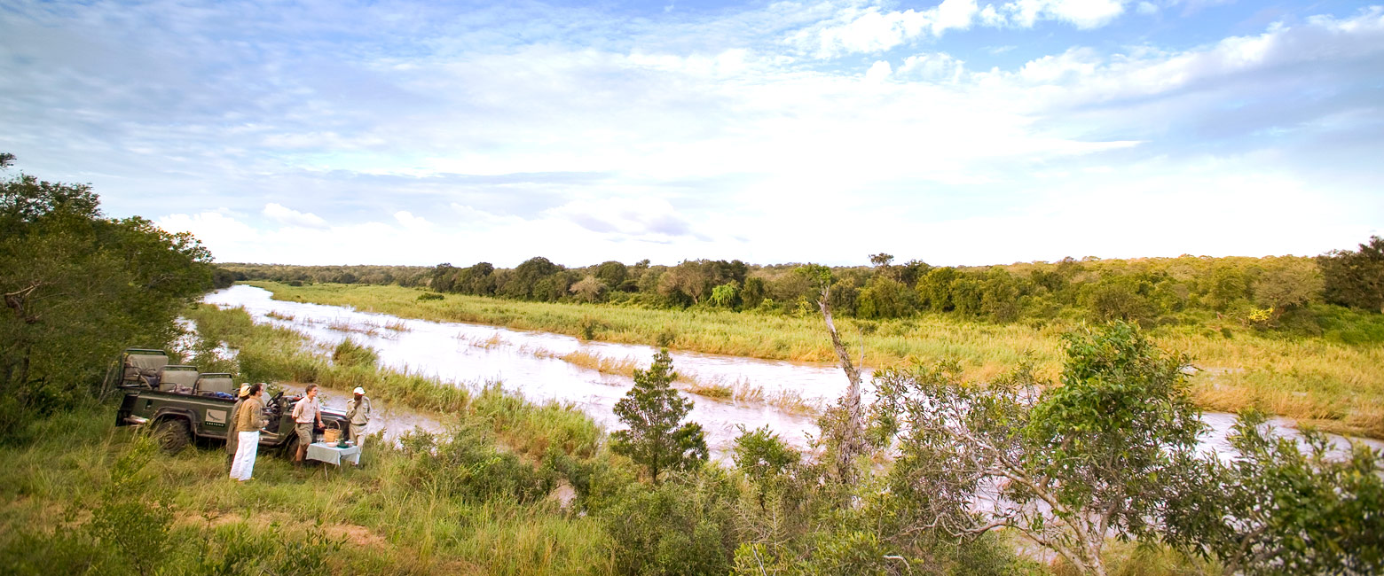 let us know your thoughts about South Africa and we will help you create the perfect safari 