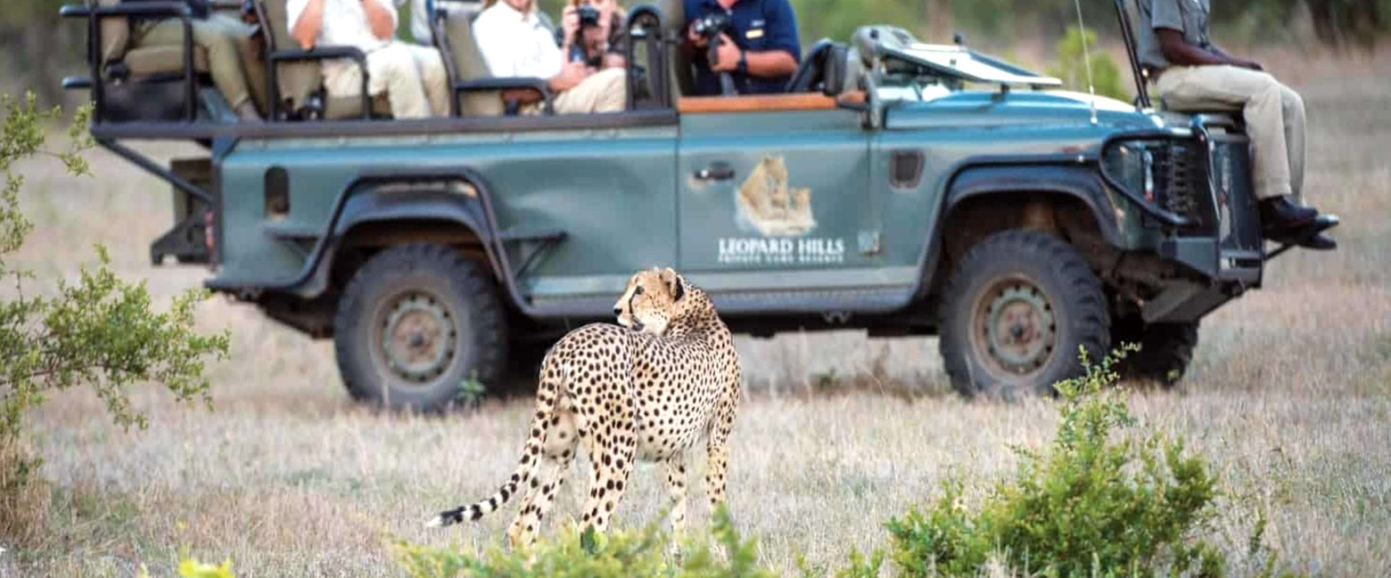 let us know your thoughts about South Africa and we will help you create the perfect safari