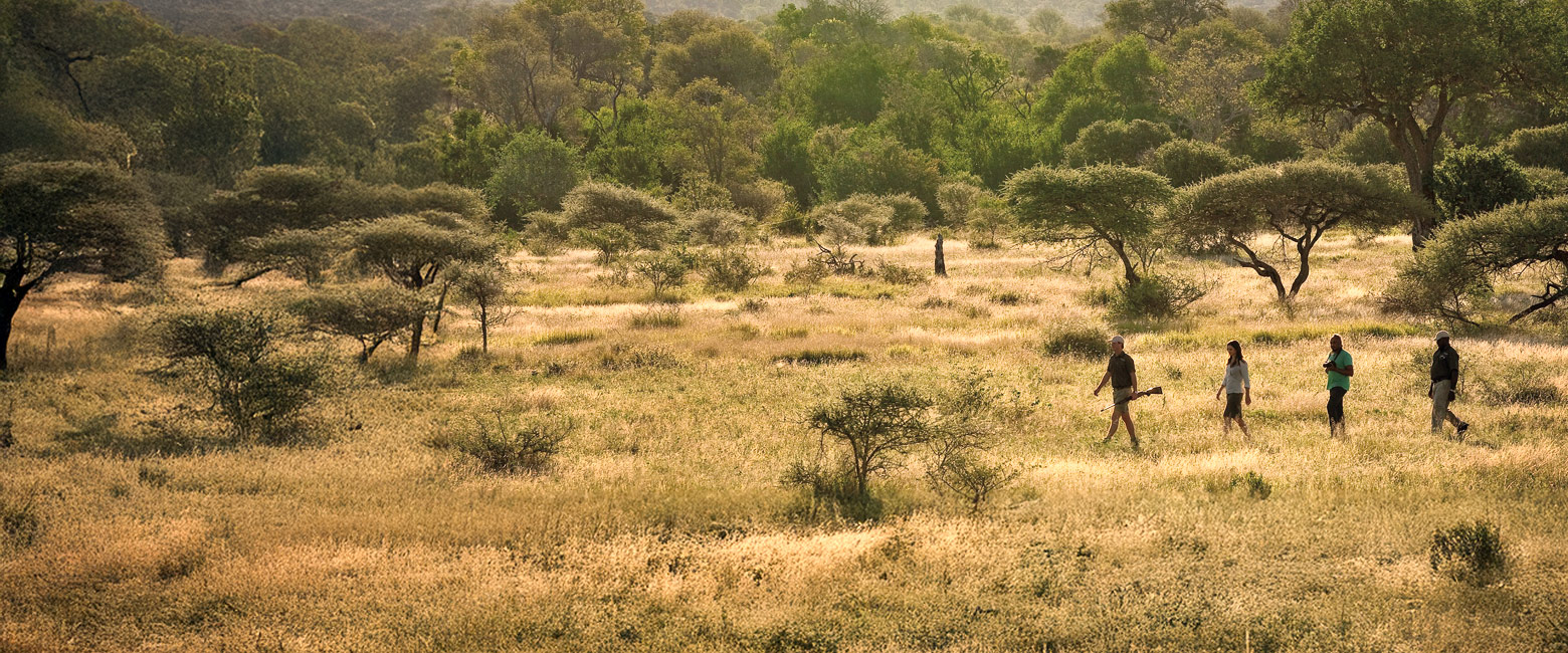 let us know your thoughts about South Africa and we will help you create the perfect safari