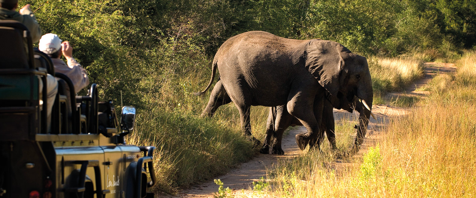 let us know your thoughts about South Africa and we will help you create the perfect safari