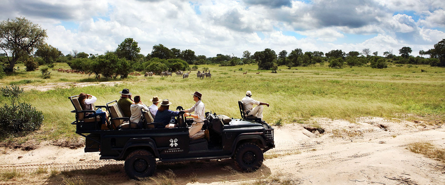 let us know your thoughts about South Africa and we will help you create the perfect safari 