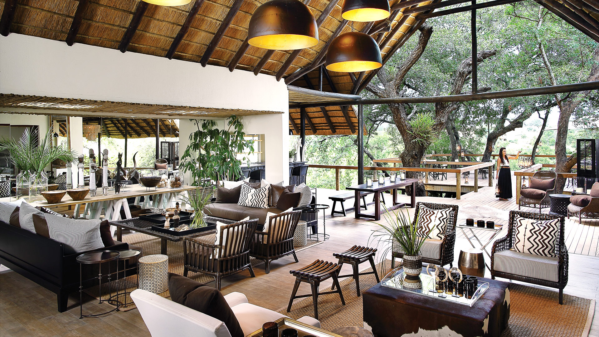 Londolozi Tree
