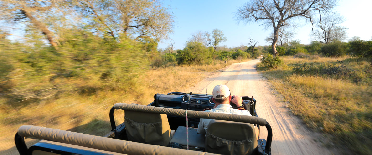 let us know your thoughts about South Africa and we will help you create the perfect safari