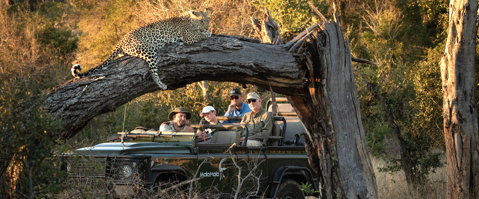 let us know your thoughts about South Africa and we will help you create the perfect safari