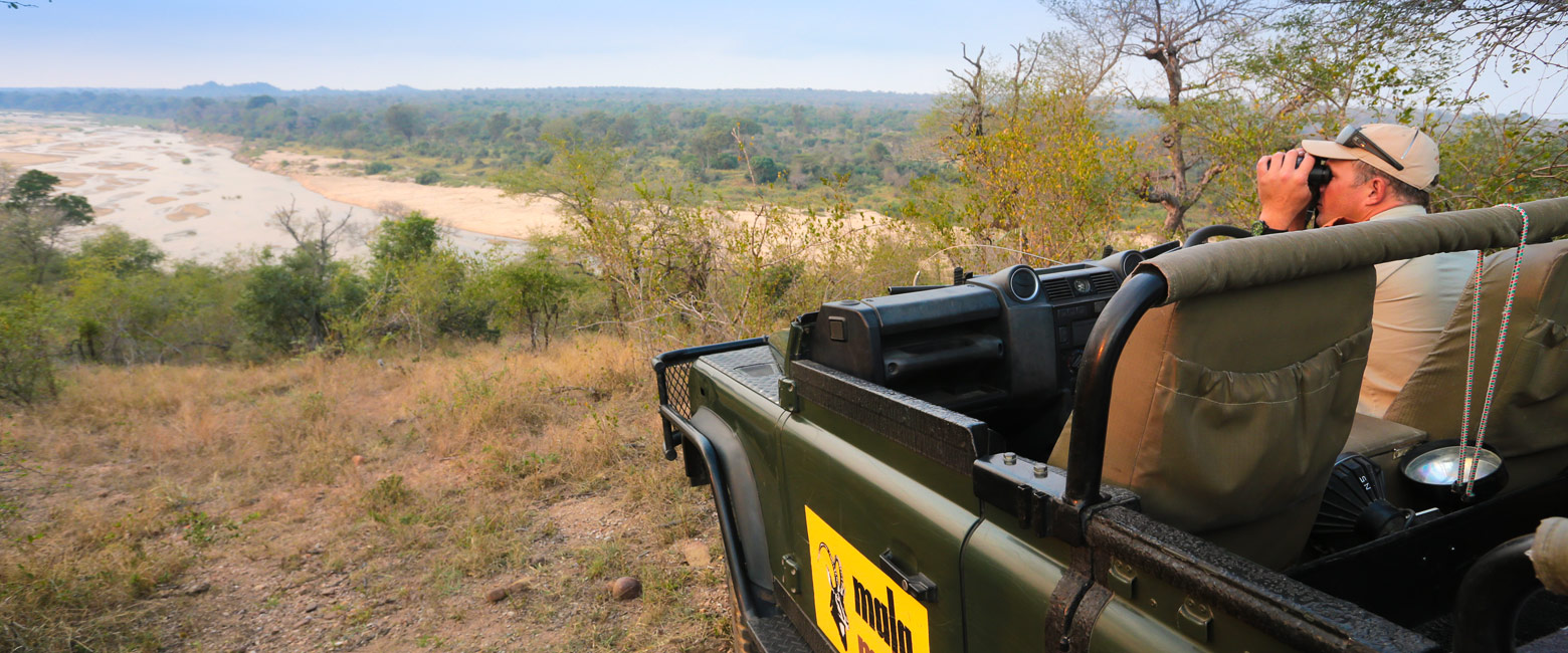 let us know your thoughts about South Africa and we will help you create the perfect safari