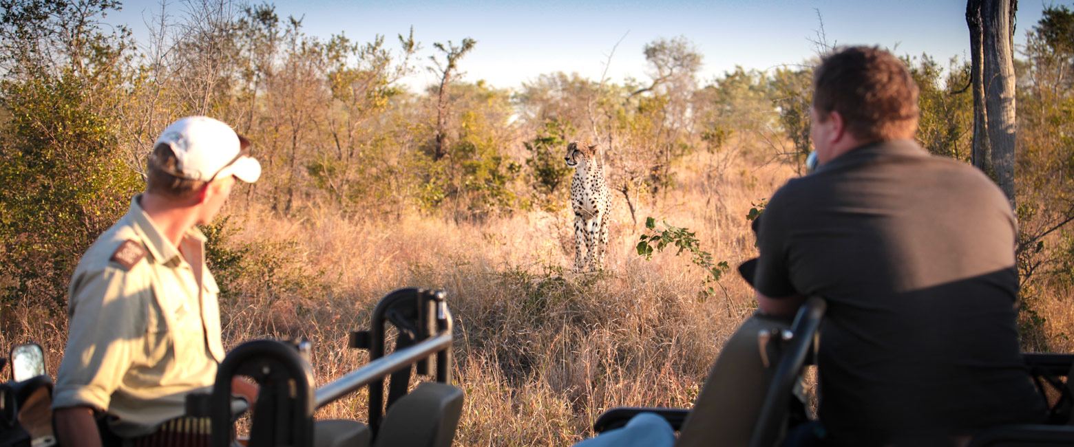 let us know your thoughts about South Africa and we will help you create the perfect safari