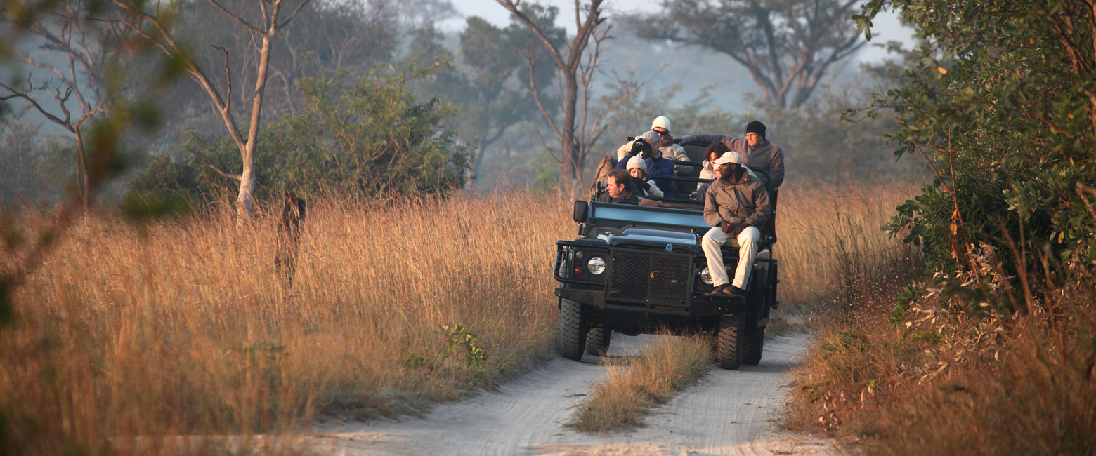 let us know your thoughts about South Africa and we will make sure to deliver the perfect safari
