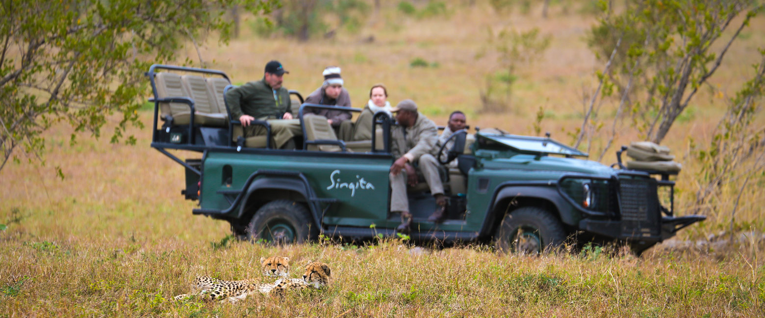 let us know your thoughts about South Africa and we will help you create the perfect safari 
